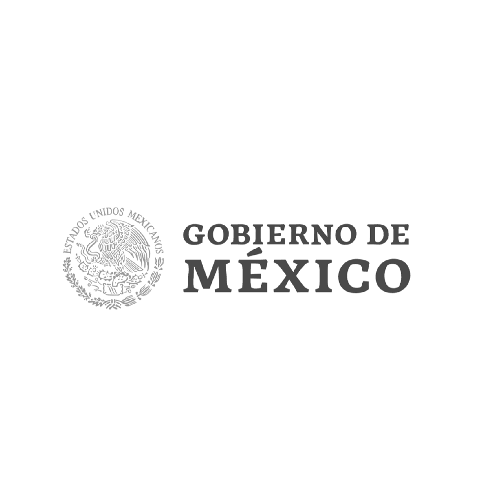 Logos pagina web-40
